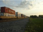 BNSF 6710 leading a stack Train East